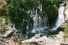 Tree waterfall
